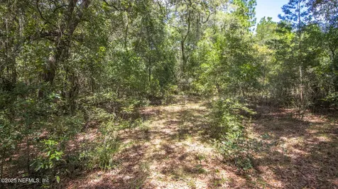 23172 SE 120th Place Hawthorne FL 32640