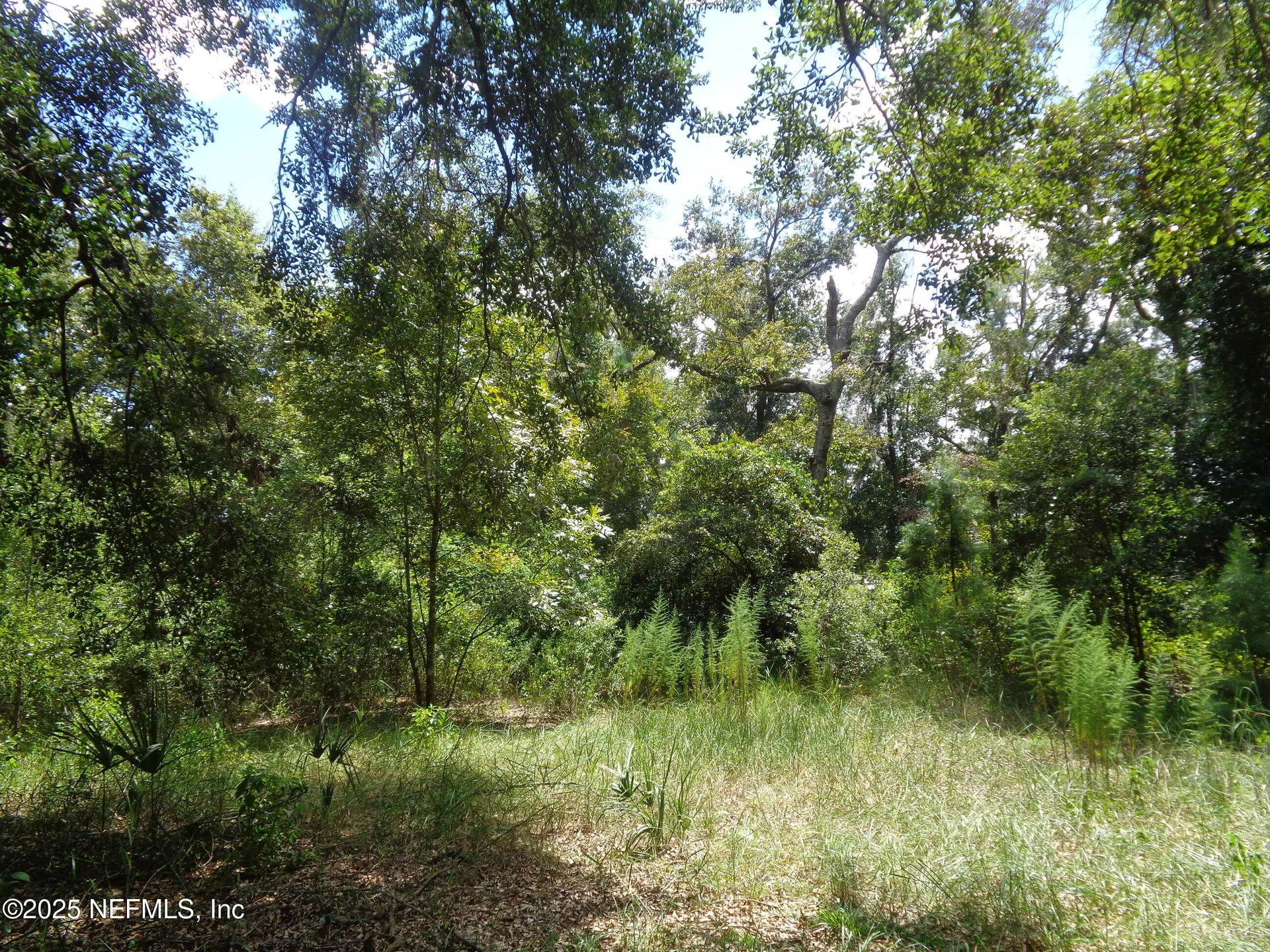 0 Lake Shore Lots 413 414 Terrace Interlachen FL 32148