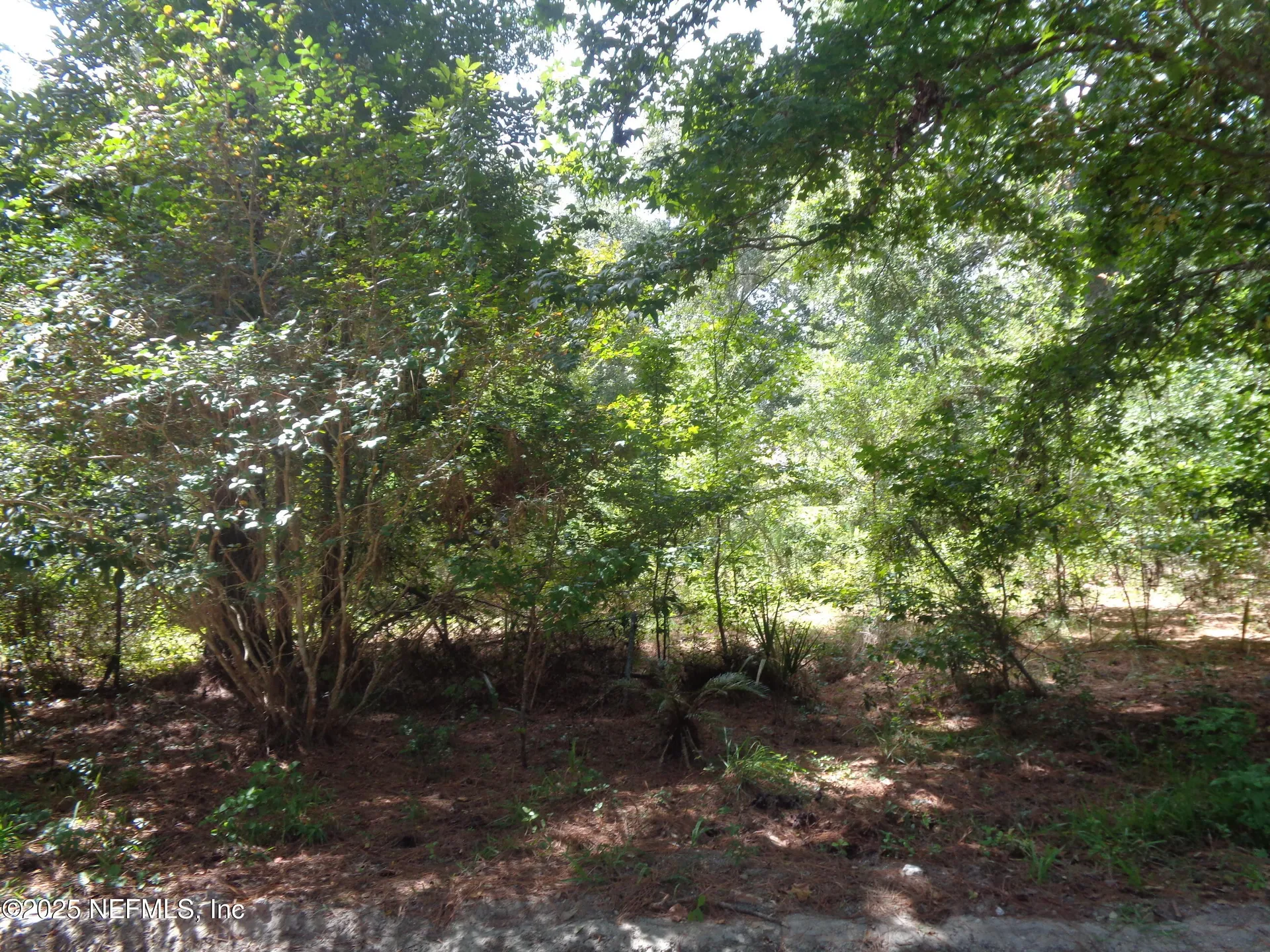 0 Lake Shore Lots 413 414 Terrace Interlachen FL 32148