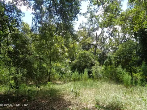 0 Lake Shore Lots 413 414 Terrace Interlachen FL 32148