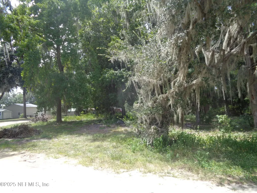 0 Lake Shore Lot 417 Terrace Interlachen FL 32148
