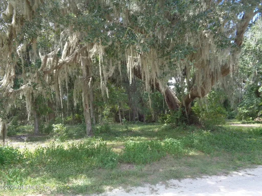0 Lake Shore Lot 417 Terrace Interlachen FL 32148