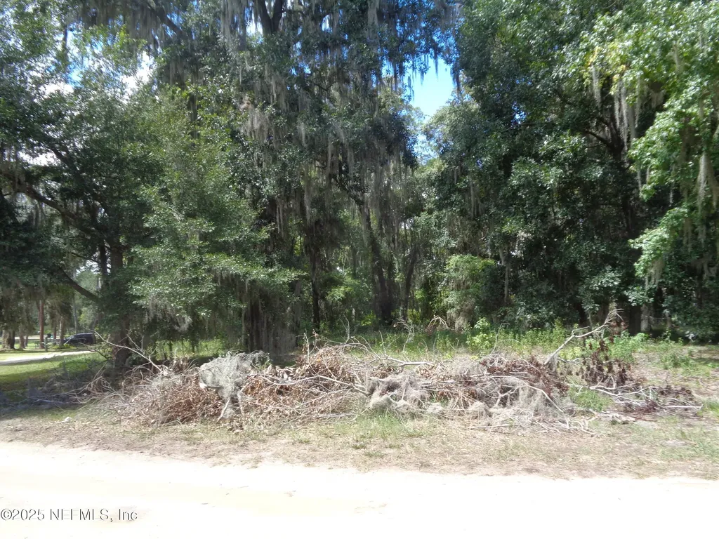0 Lake Shore Lot 417 Terrace Interlachen FL 32148