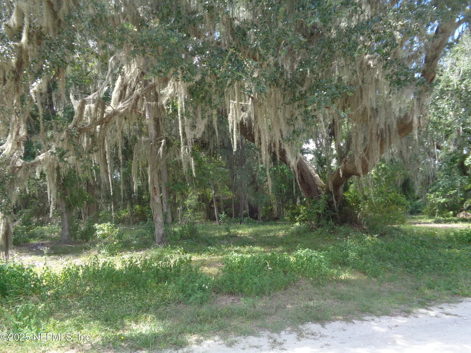 0 Lake Shore Lot 417 Terrace Interlachen FL 32148
