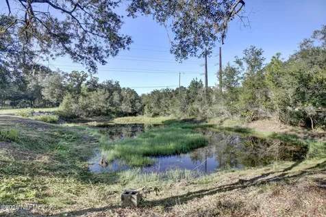 392 Foxtail Avenue Middleburg FL 32068