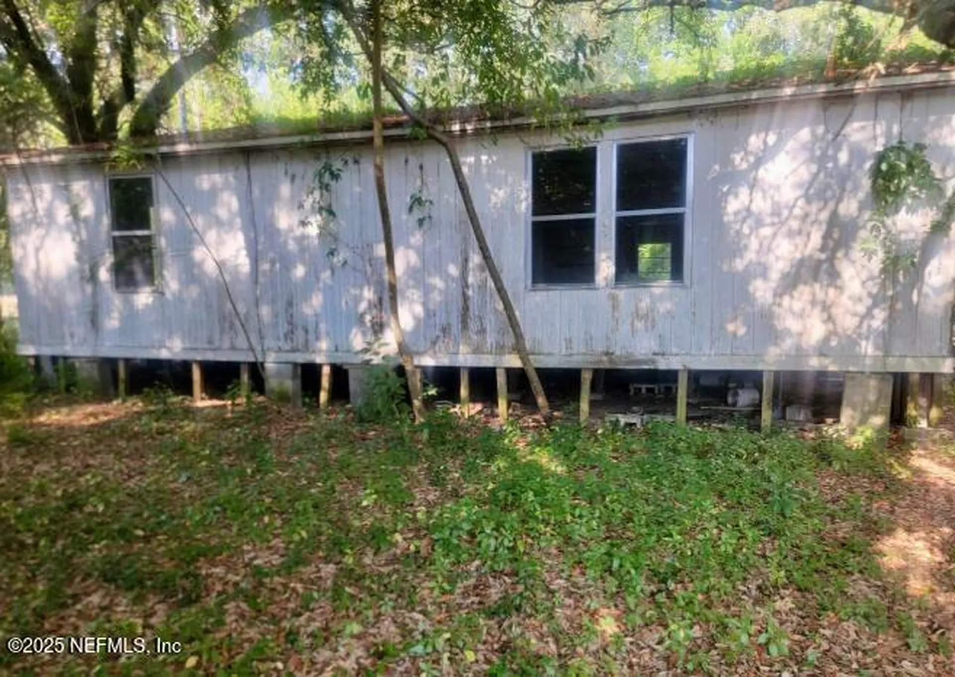 8030 Gale Lane Melrose FL 32666