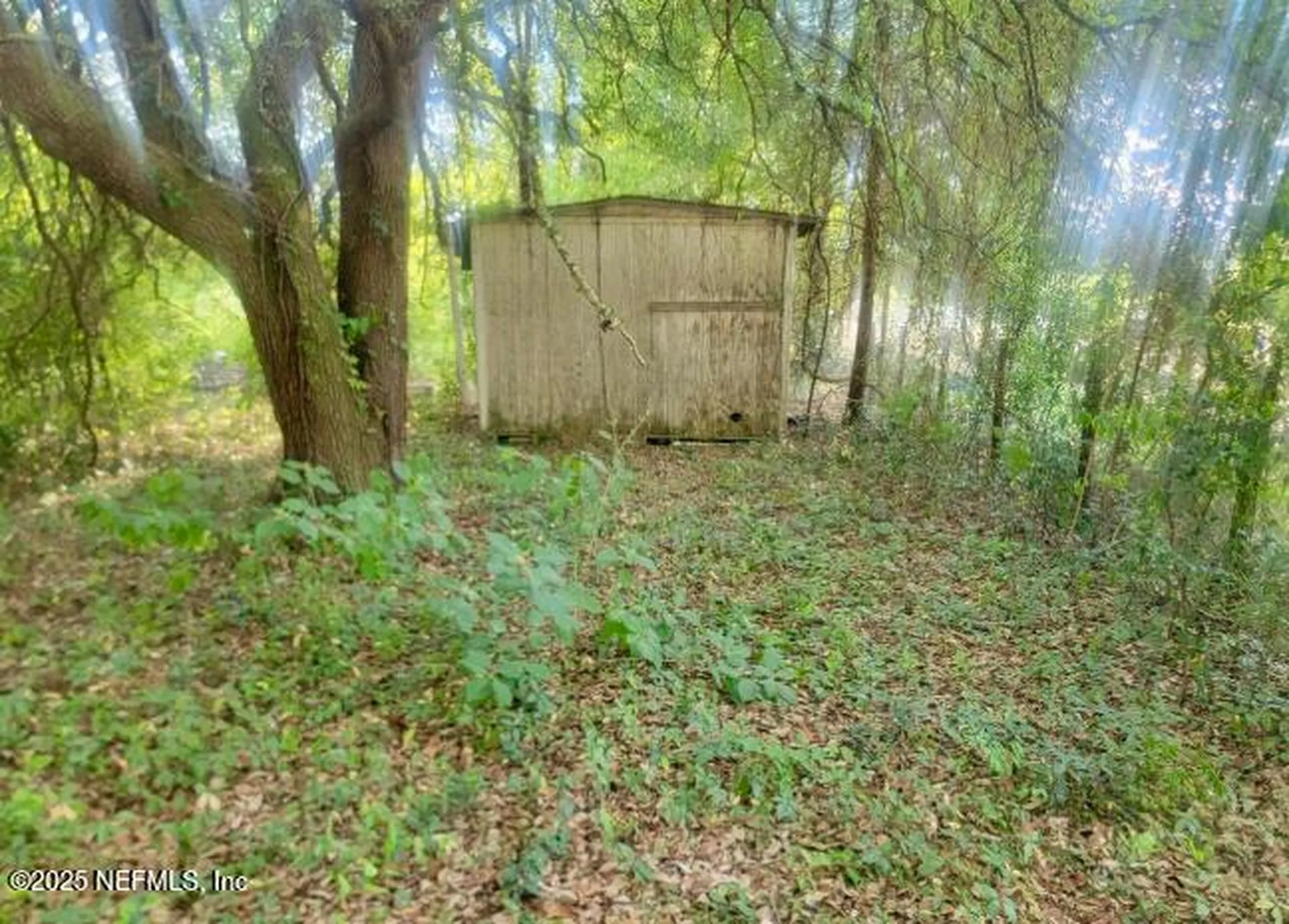 8030 Gale Lane Melrose FL 32666