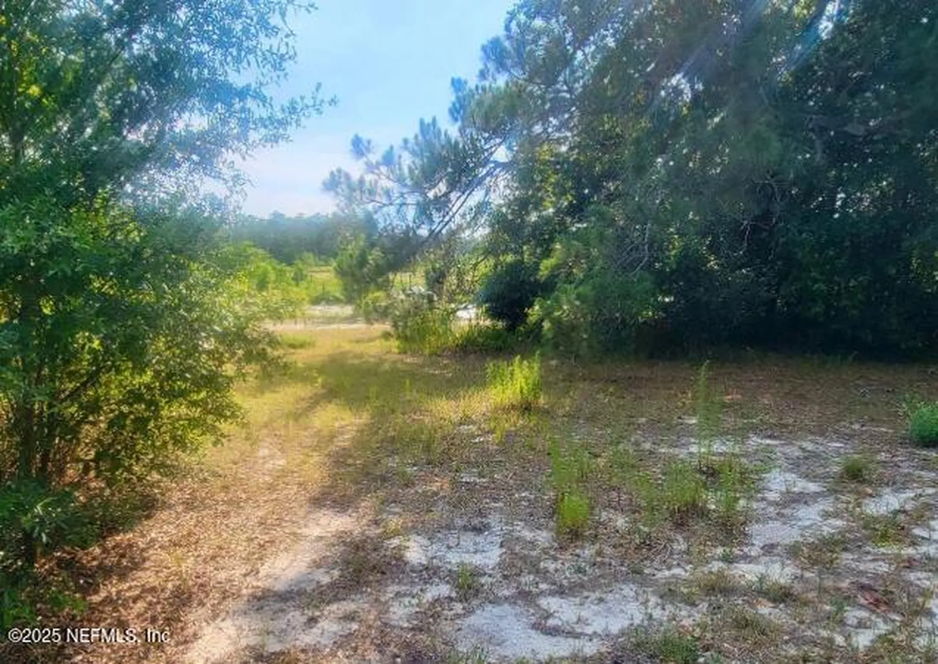 8030 Gale Lane Melrose FL 32666