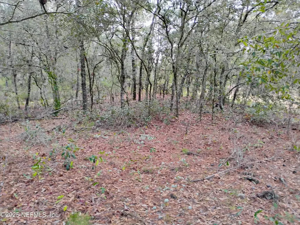 309 Wilson Drive Interlachen FL 32148