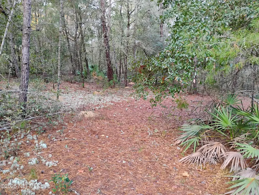 309 Wilson Drive Interlachen FL 32148