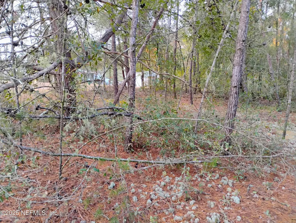 309 Wilson Drive Interlachen FL 32148
