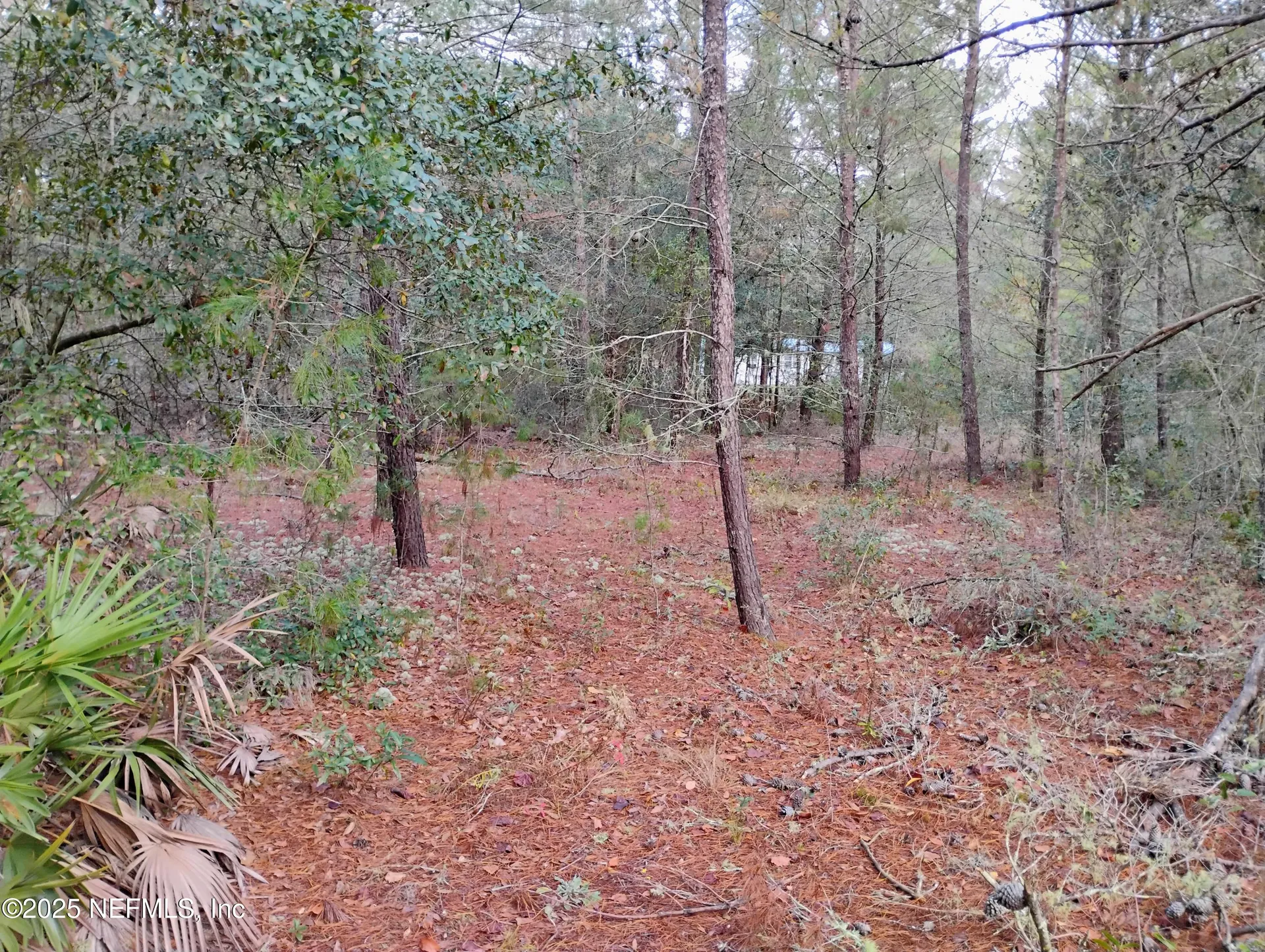 309 Wilson Drive Interlachen FL 32148