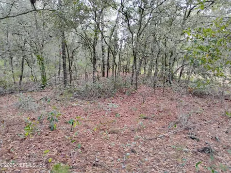 309 Wilson Drive Interlachen FL 32148