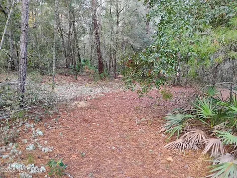 309 Wilson Drive Interlachen FL 32148