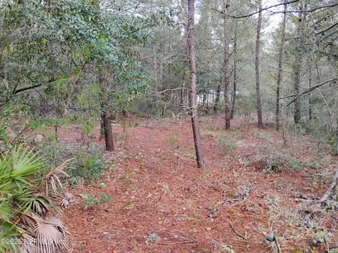 309 Wilson Drive Interlachen FL 32148