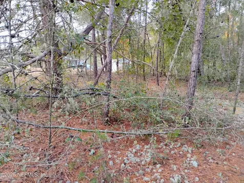 309 Wilson Drive Interlachen FL 32148