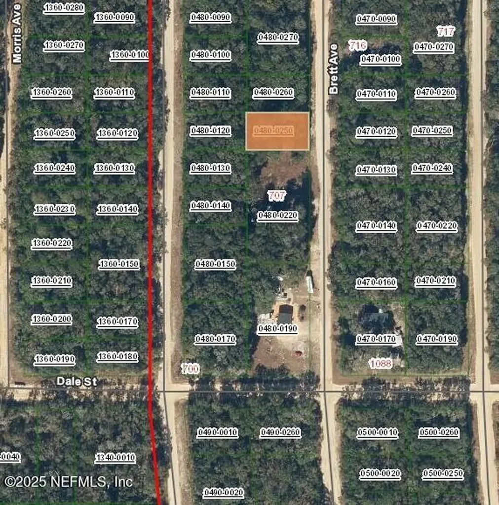 713 Brett Avenue Interlachen FL 32148