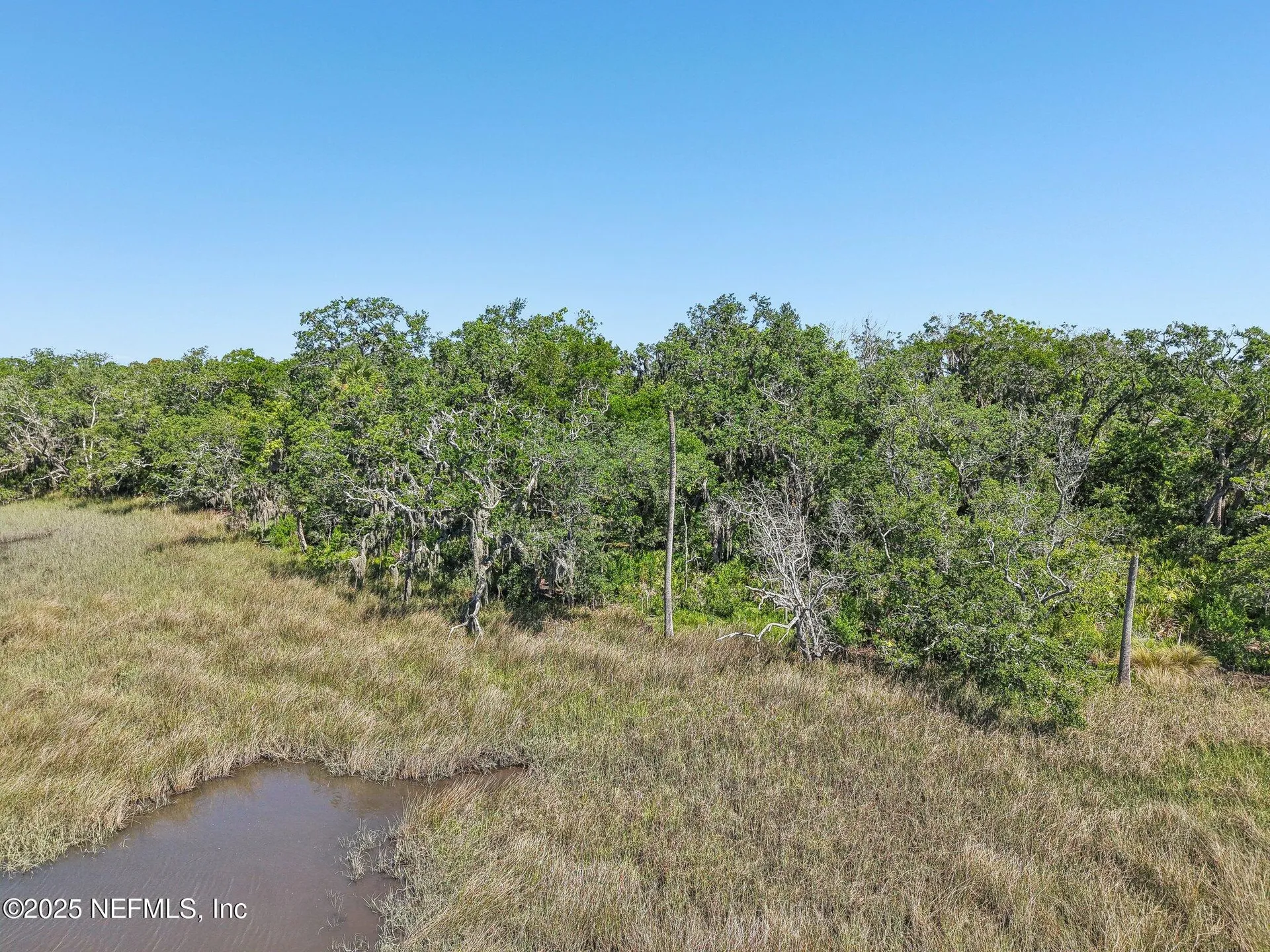 0 Fiddler's Point Drive Jacksonville FL 32225