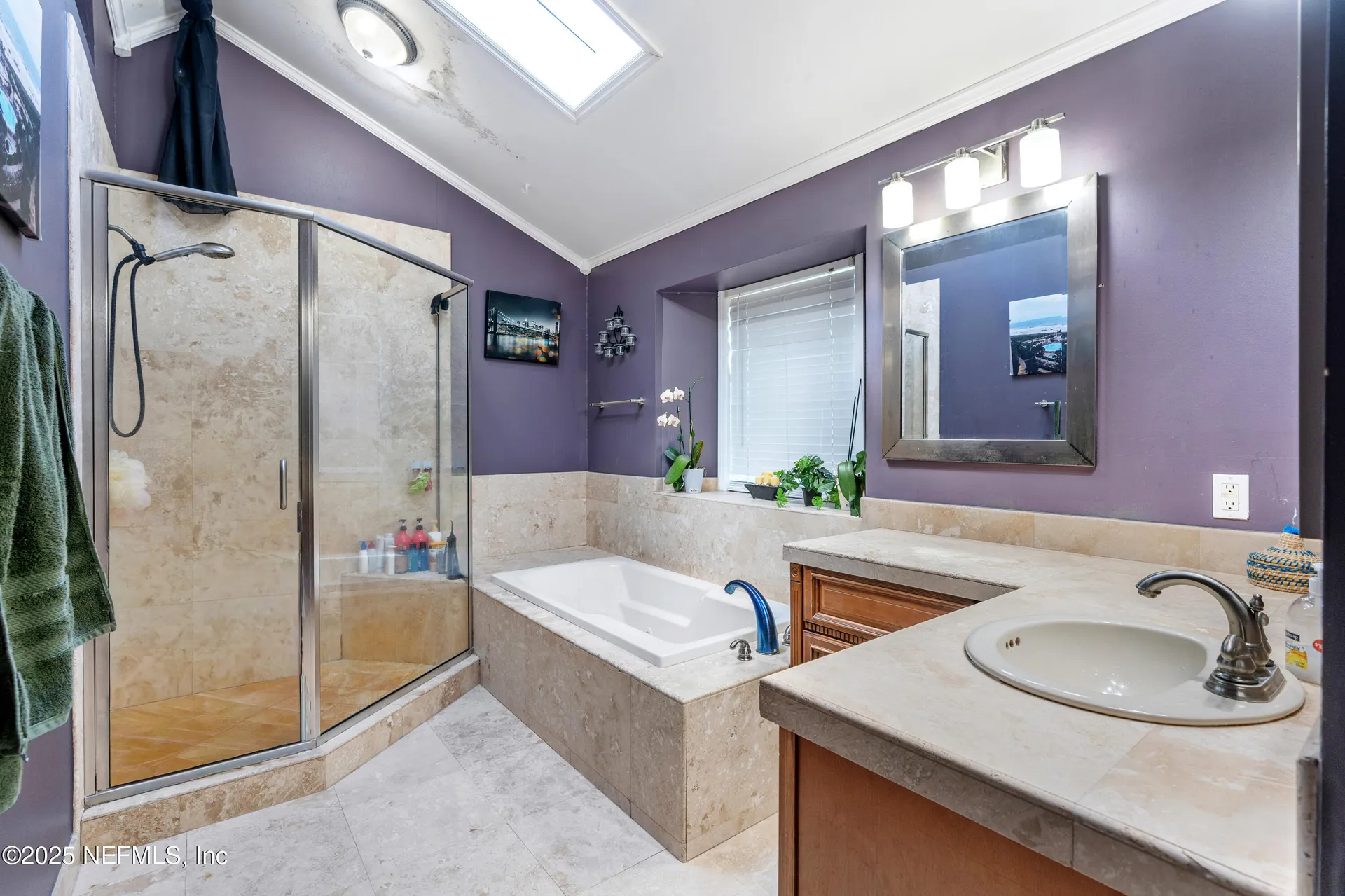 2781 Mandarin Meadows Drive S Jacksonville FL 32223