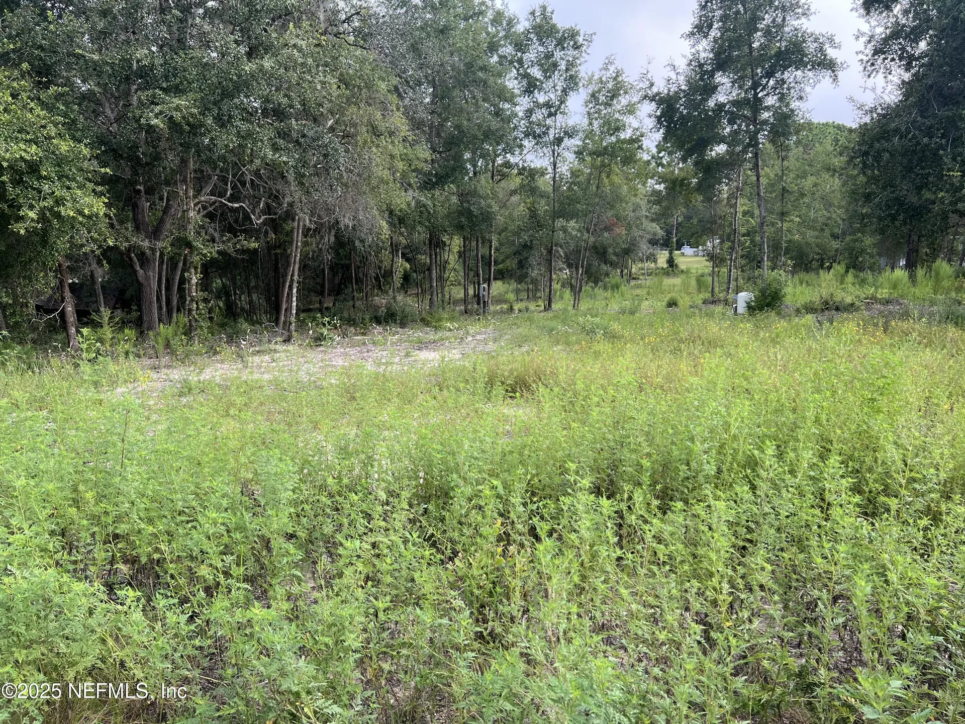 114 Plantation Way Hawthorne FL 32640
