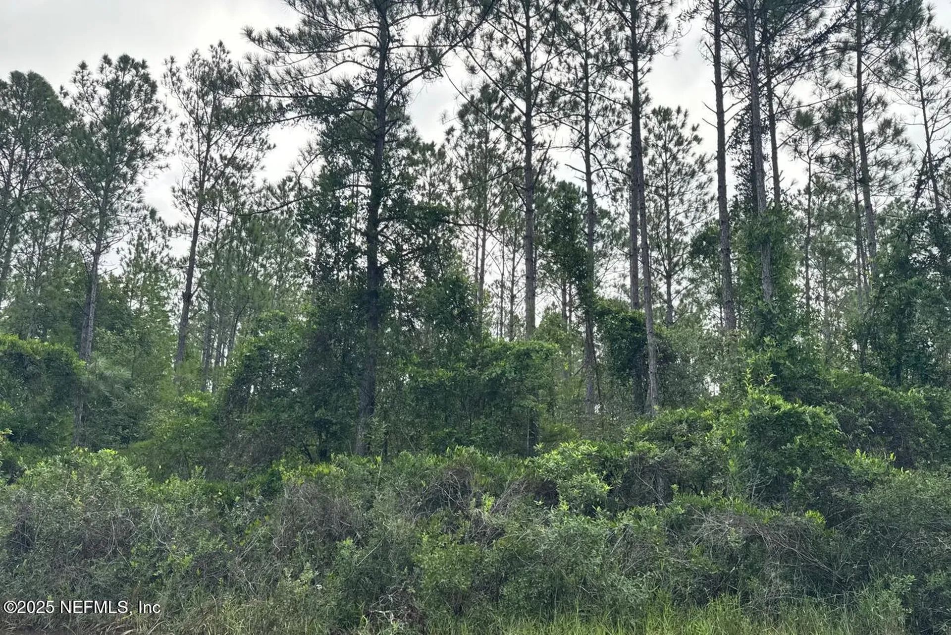 0 Baylor Avenue Hastings FL 32145