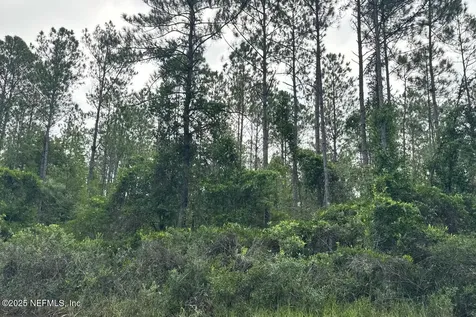 0 Baylor Avenue Hastings FL 32145