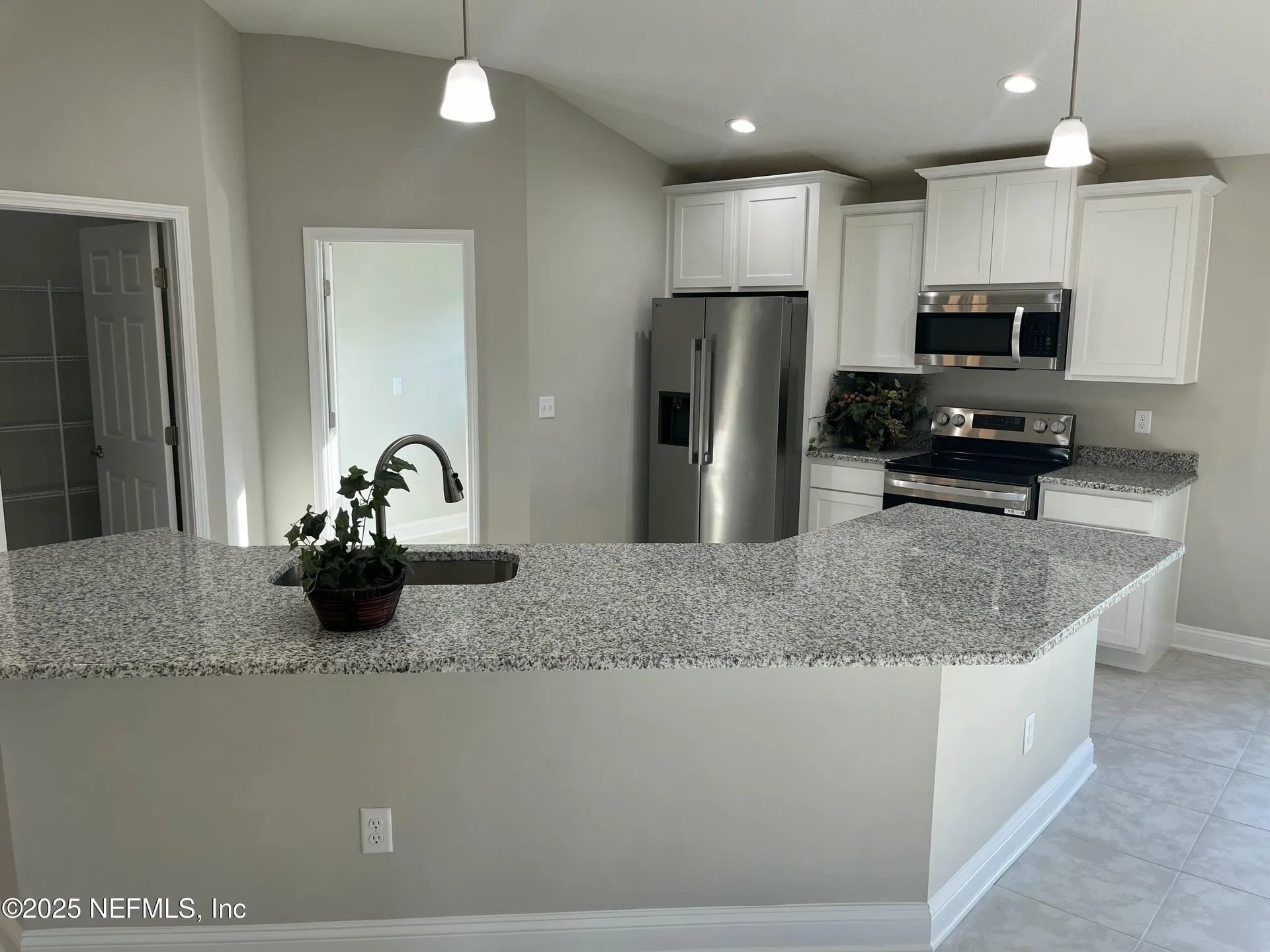 3123 Vianey Place Green Cove Springs FL 32043