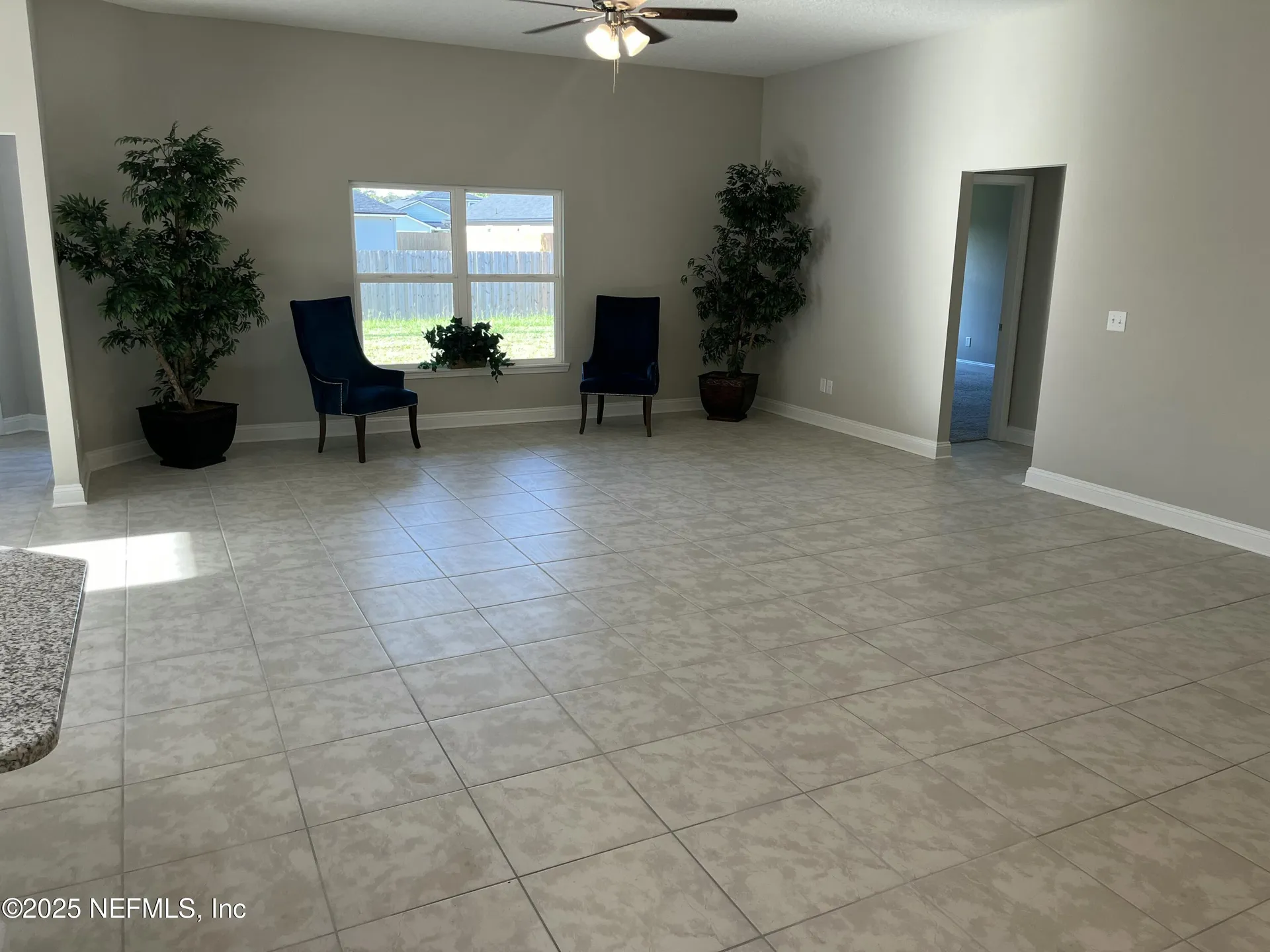 3123 Vianey Place Green Cove Springs FL 32043