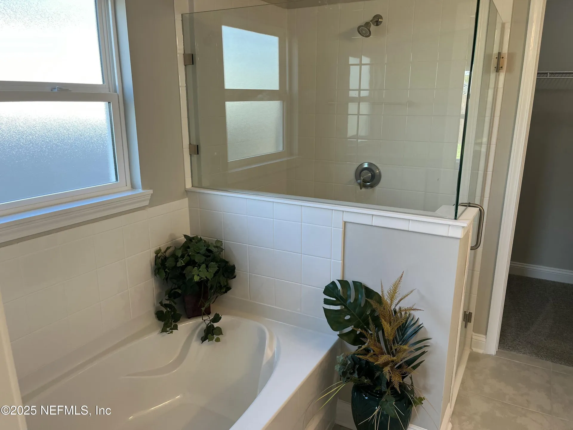 3123 Vianey Place Green Cove Springs FL 32043