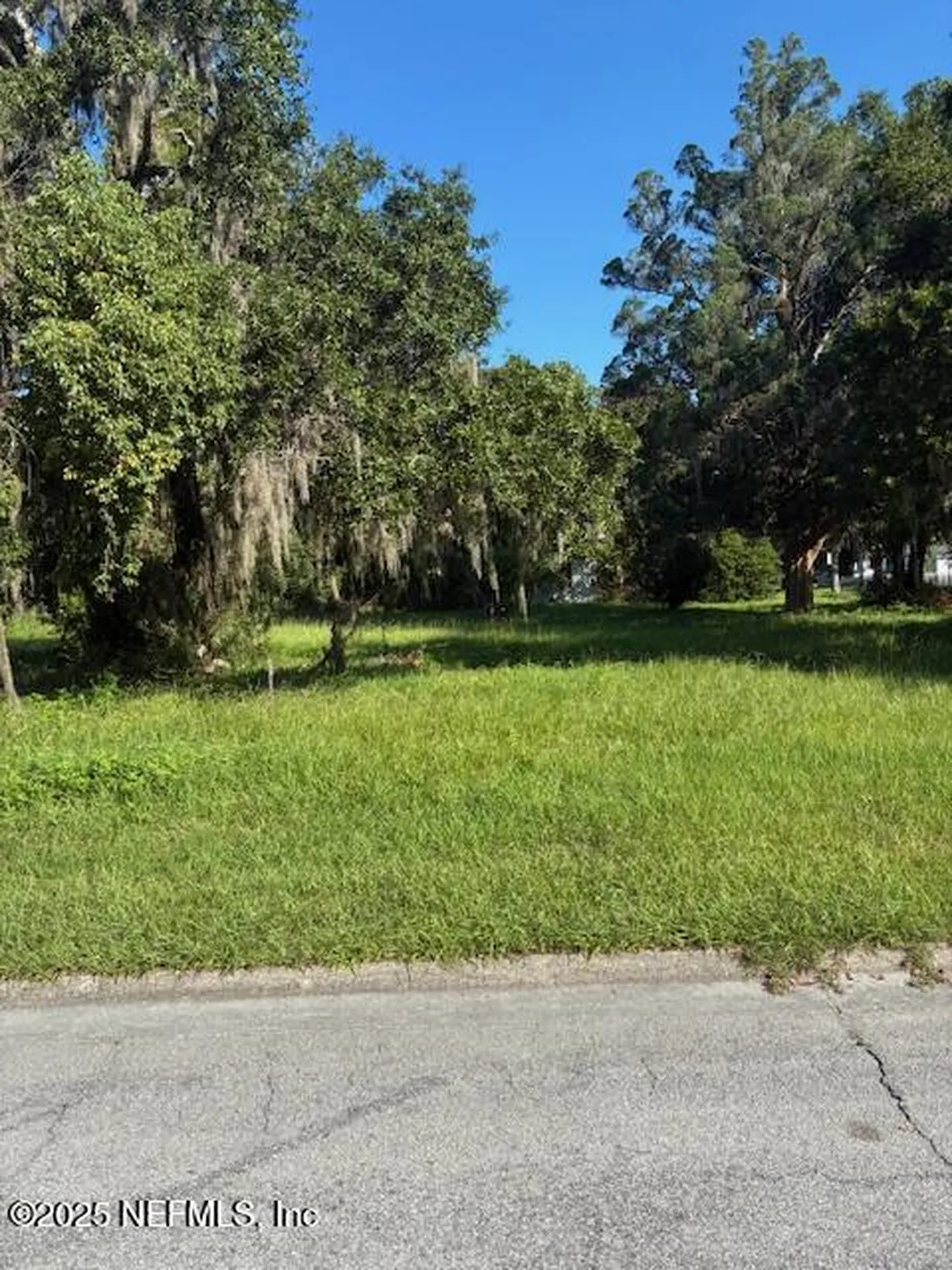 314 Bayard Street Green Cove Springs FL 32043