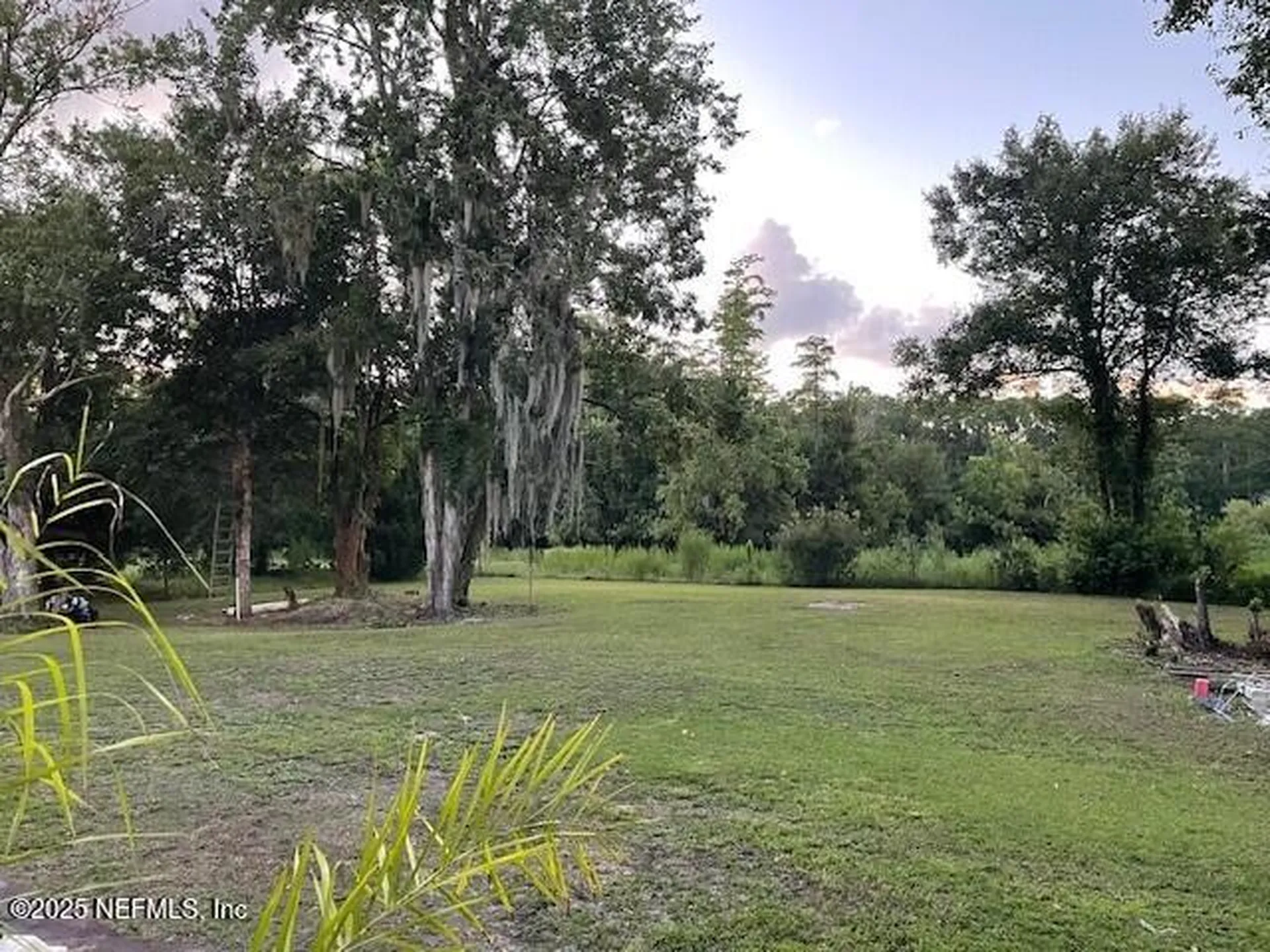 5459 Morse Avenue Jacksonville FL 32244