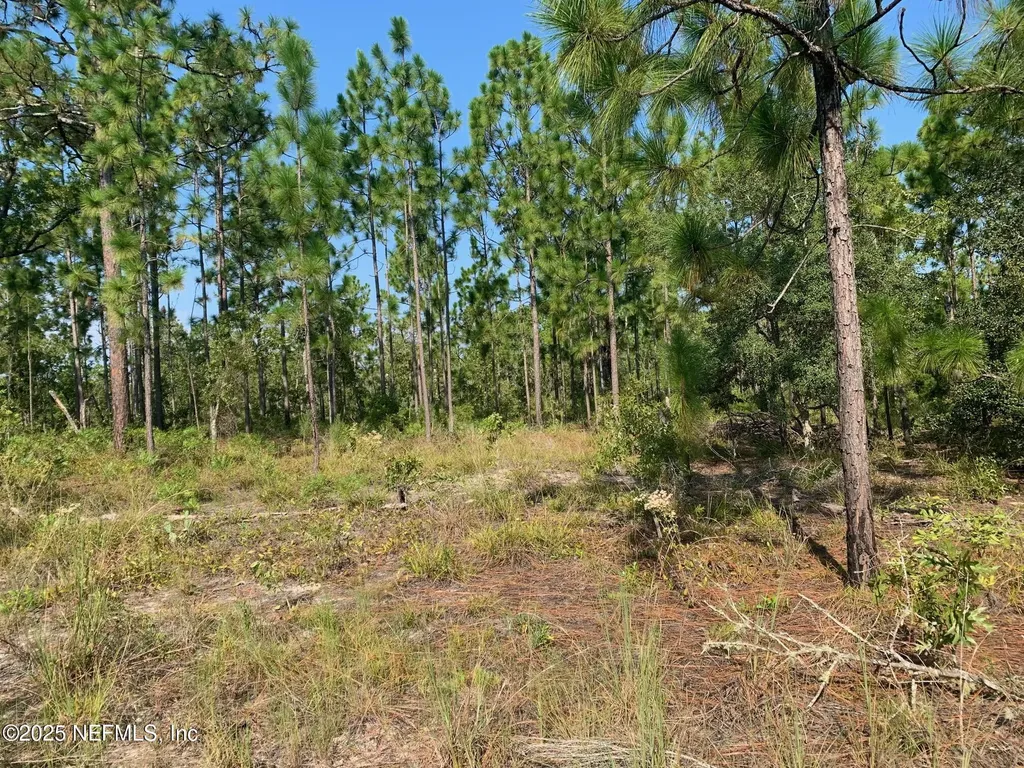 243 Indiana Avenue Hawthorne FL 32640