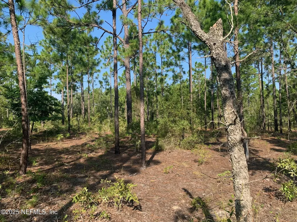 243 Indiana Avenue Hawthorne FL 32640