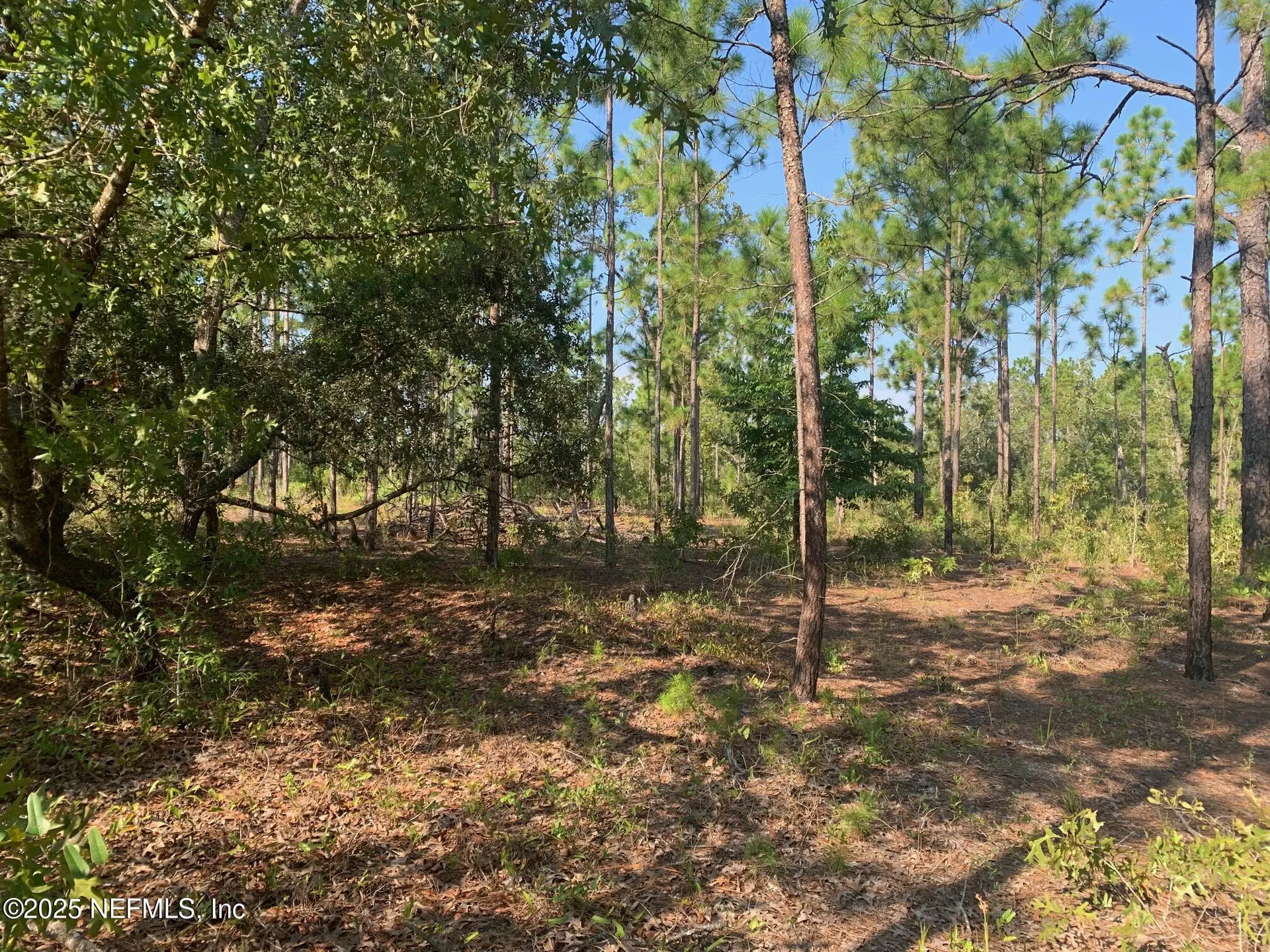 243 Indiana Avenue Hawthorne FL 32640