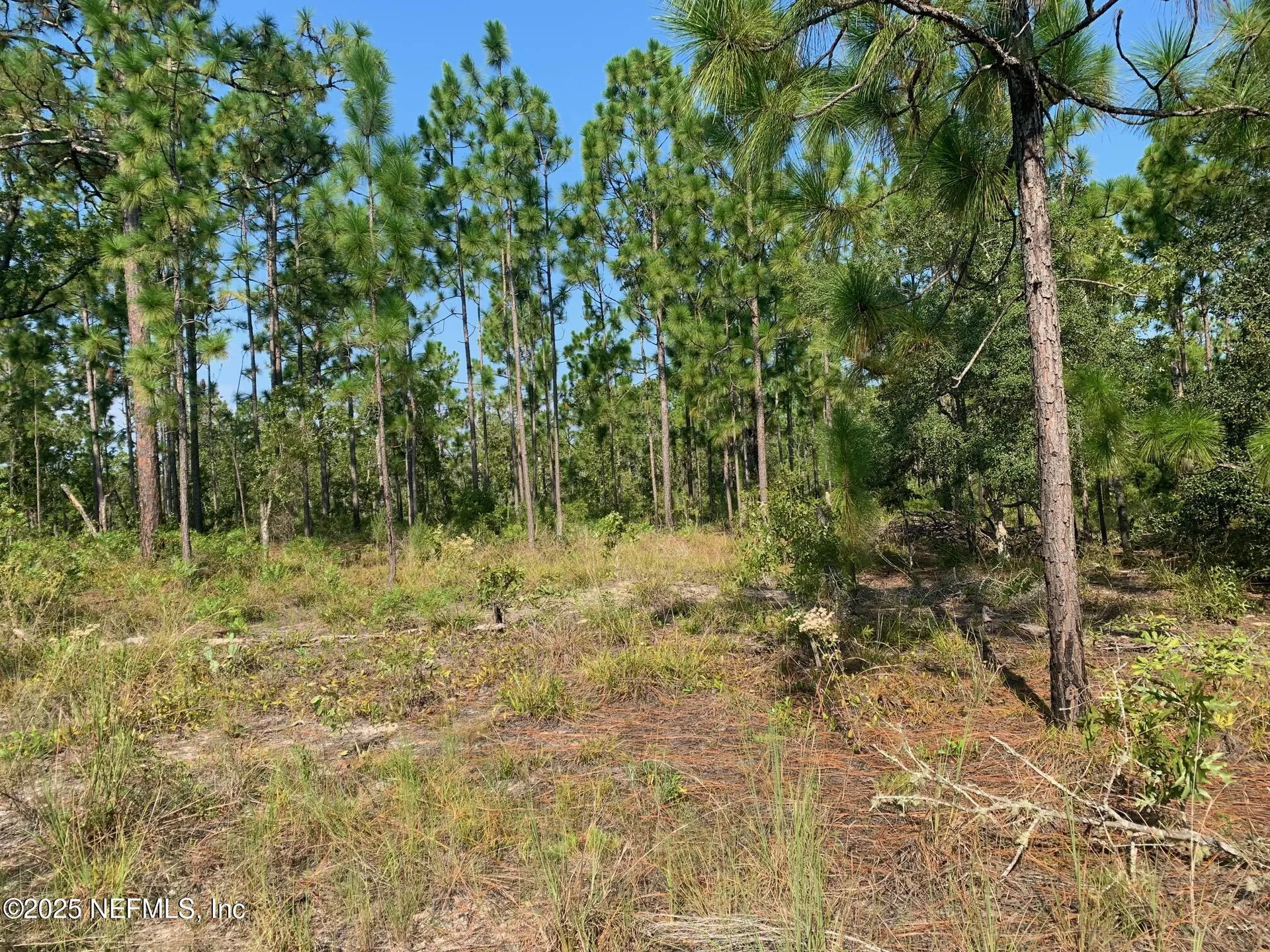 243 Indiana Avenue Hawthorne FL 32640