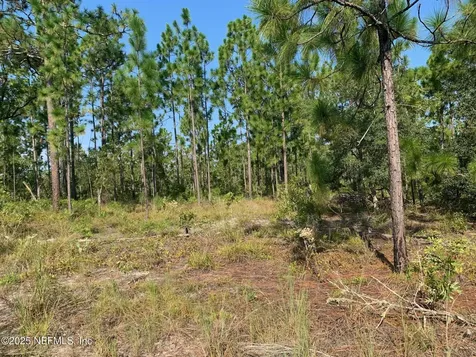 243 Indiana Avenue Hawthorne FL 32640