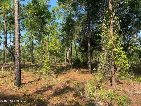 243 Indiana Avenue Hawthorne FL 32640