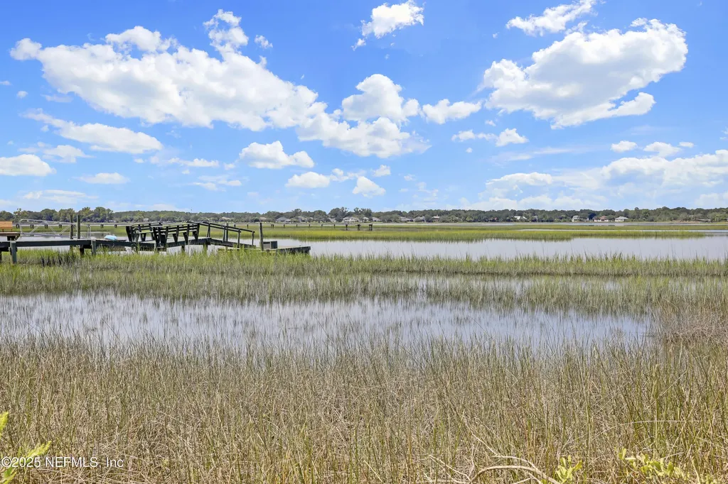 96159 Piney Island Drive Fernandina Beach FL 32034