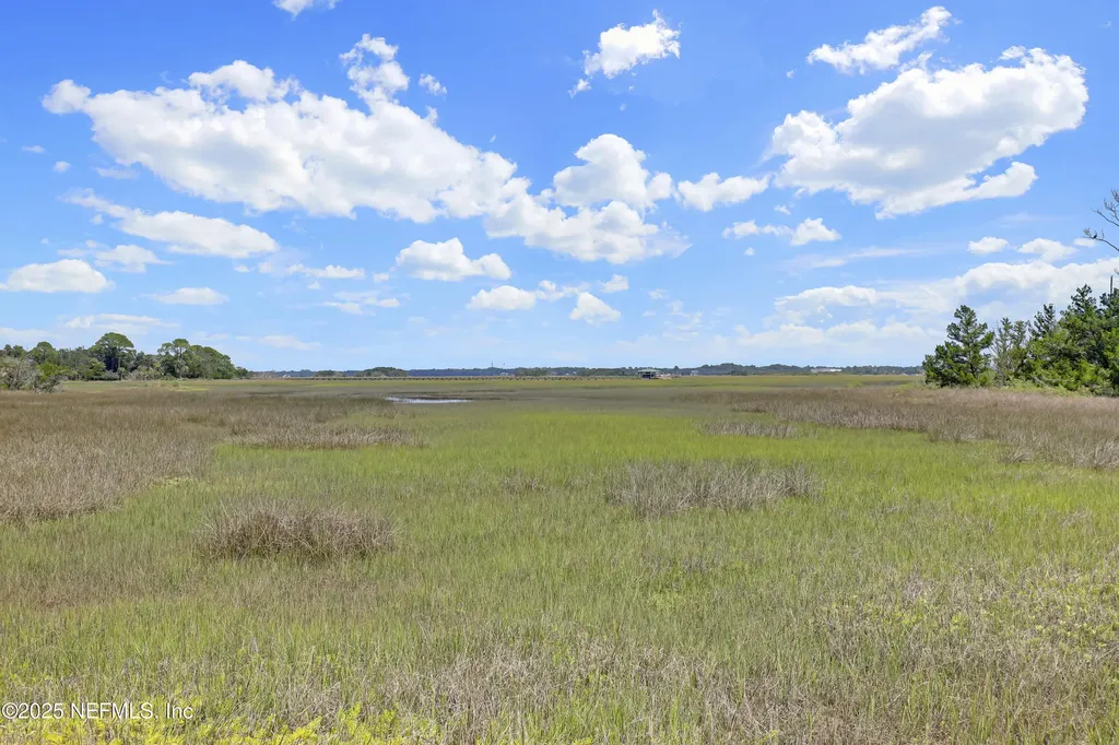 96159 Piney Island Drive Fernandina Beach FL 32034