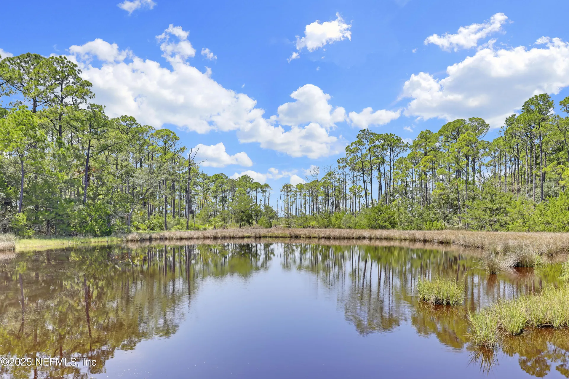 96159 Piney Island Drive Fernandina Beach FL 32034