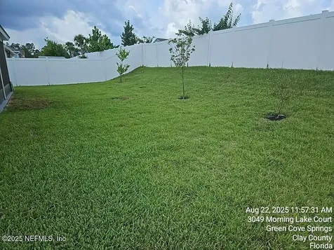3049 Morning Lake Court Green Cove Springs FL 32043