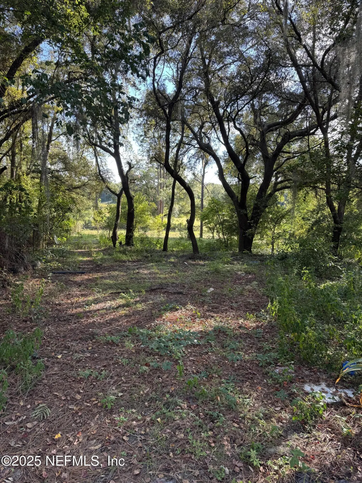 6081 State Road 100 Keystone Heights FL 32656