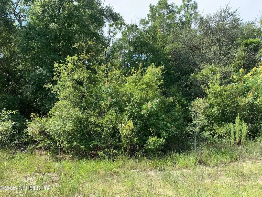 119 Lynnwood Avenue Interlachen FL 32148