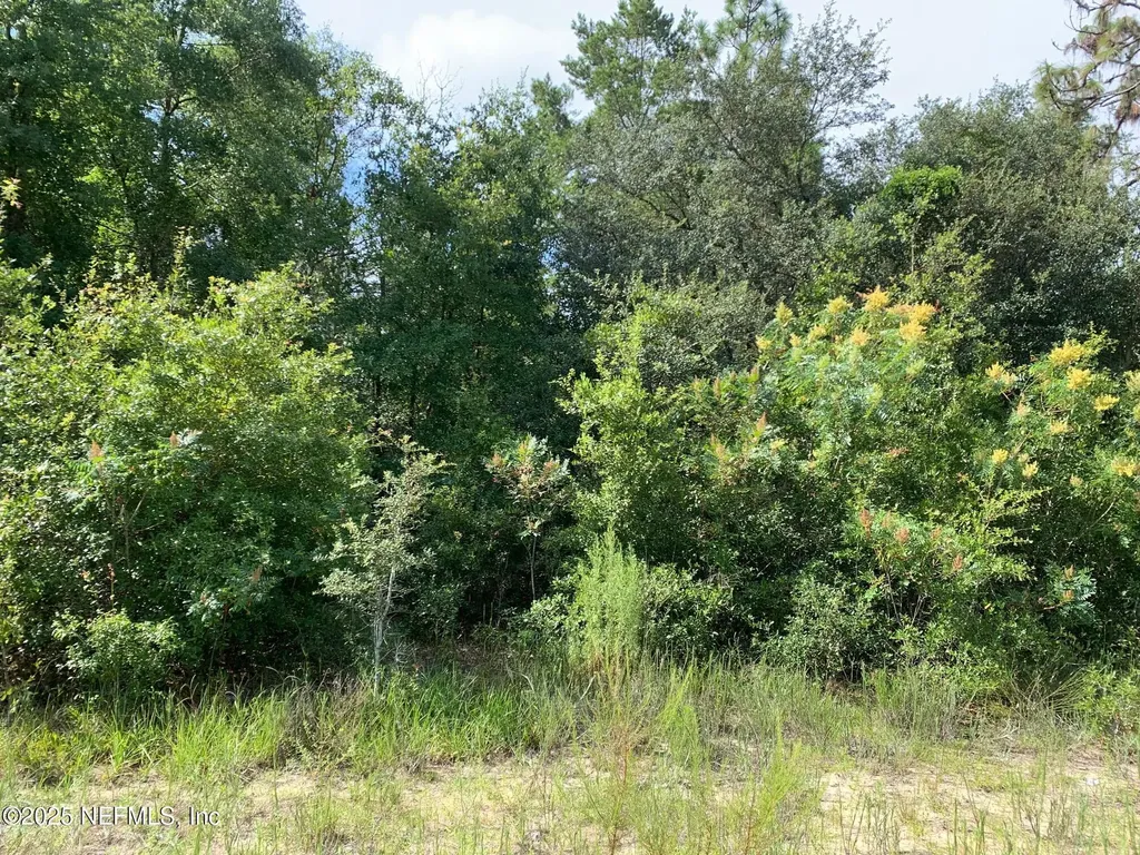 119 Lynnwood Avenue Interlachen FL 32148