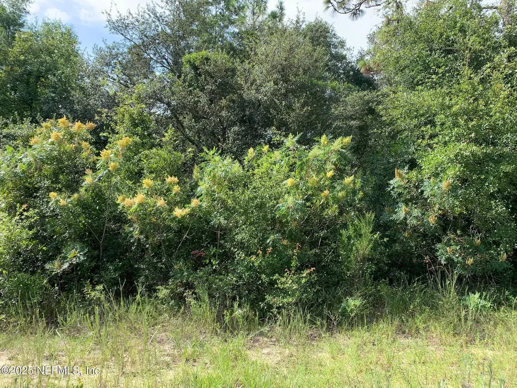 119 Lynnwood Avenue Interlachen FL 32148