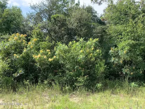 119 Lynnwood Avenue Interlachen FL 32148