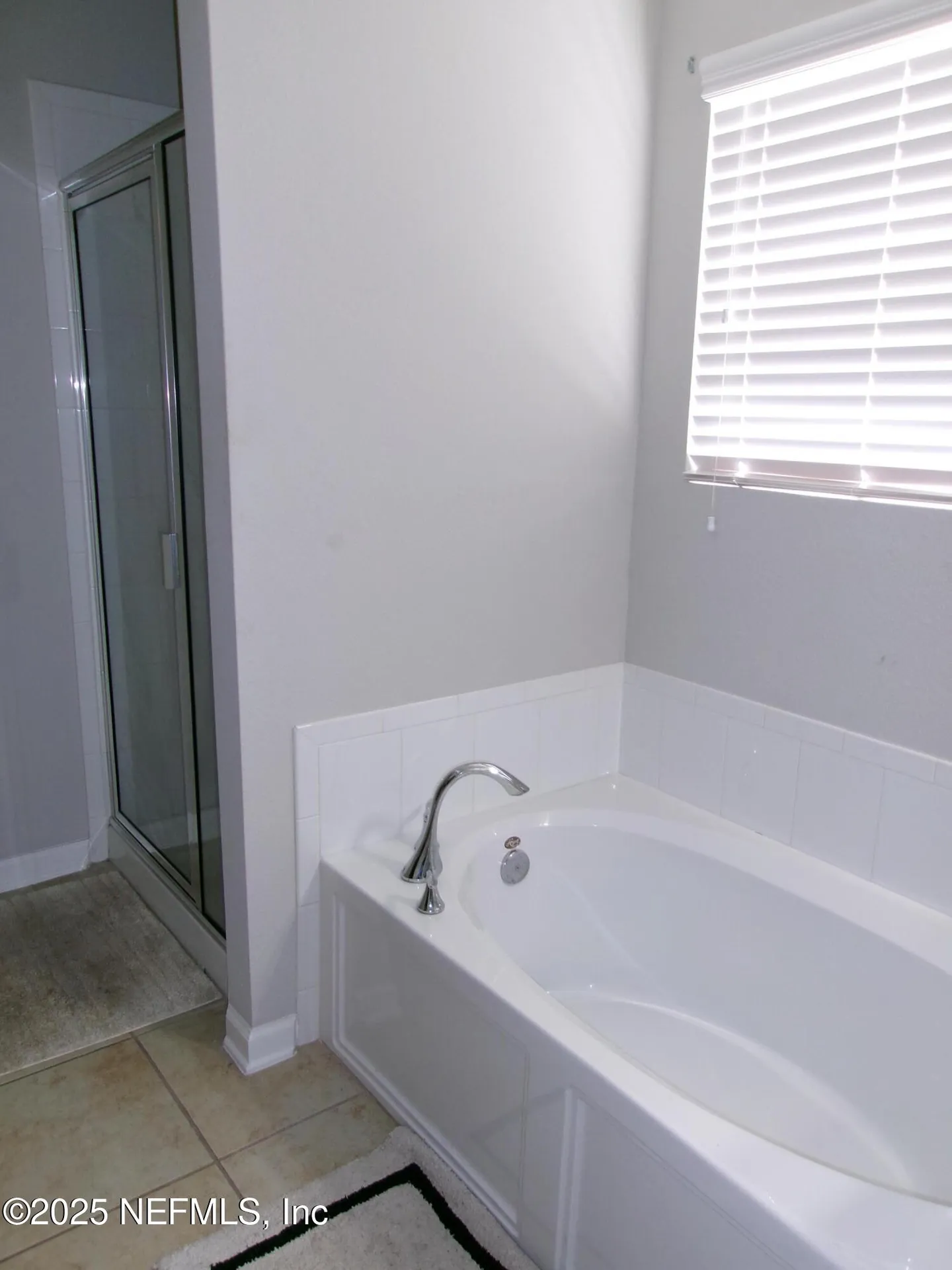 4688 Camp Creek Lane Orange Park FL 32065