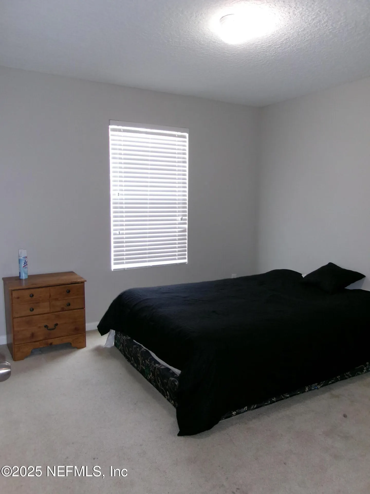4688 Camp Creek Lane Orange Park FL 32065