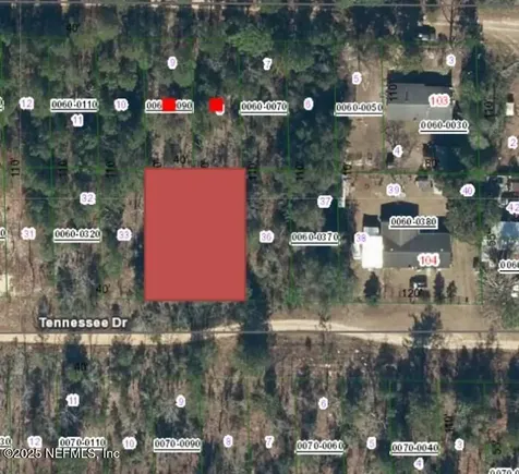112 & 114 Tennessee Drive Hawthorne FL 32640