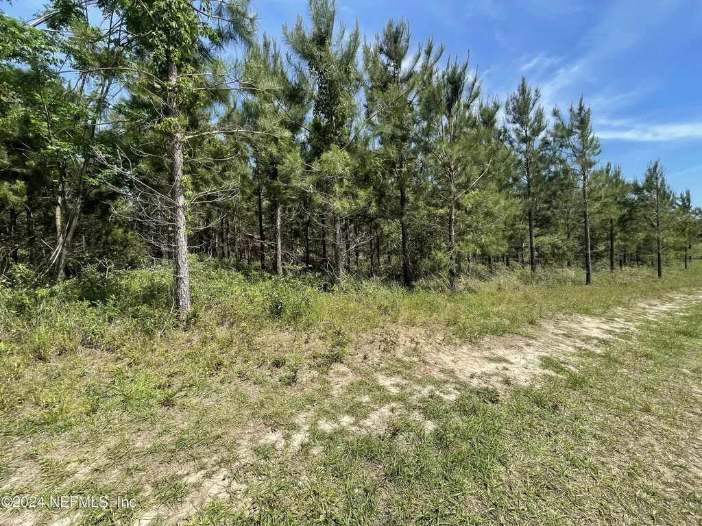 3600 NE Rocky Ford Road Madison FL 32340